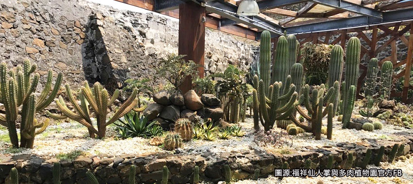 福祥仙人掌與多肉植物園